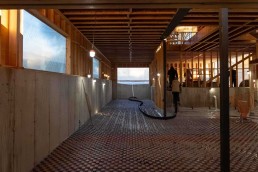 Raising the Ceiling, Lowering the Risk: The Structural Benefits of a Professional Basement Dig-Out - Home Reno World